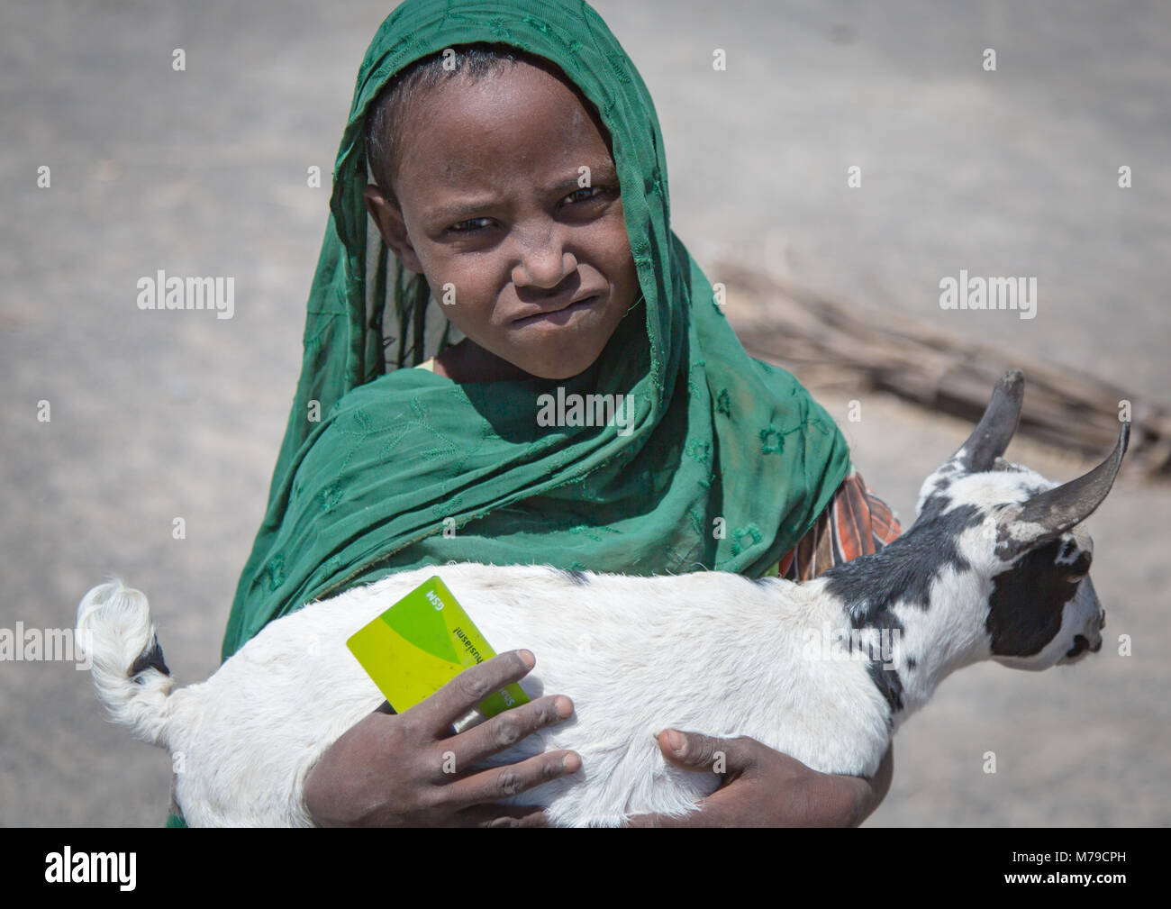 Etnia Afar ragazza con la sua capra, regione di Afar, Semera, Etiopia Foto Stock