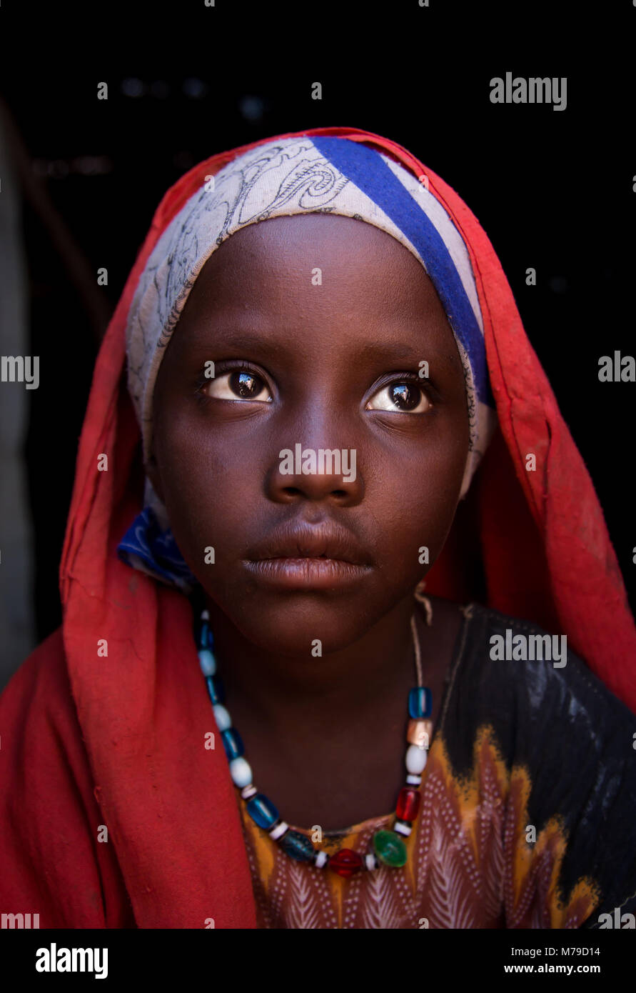 Ritratto di un etnia afar ragazza con un velo, regione di Afar, Assayta, Etiopia Foto Stock