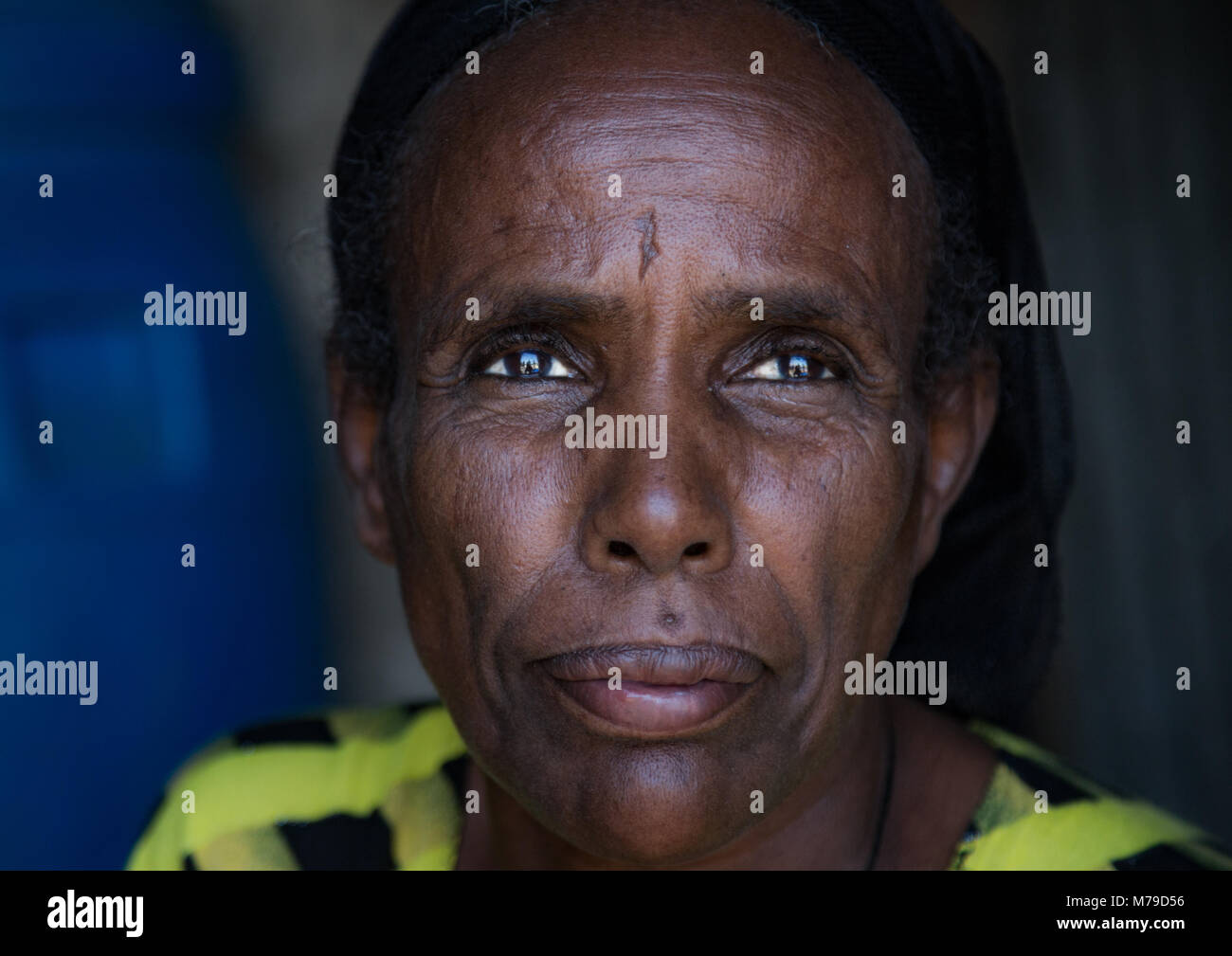 Ritratto di un etnia afar donna, regione di Afar, Assayta, Etiopia Foto Stock