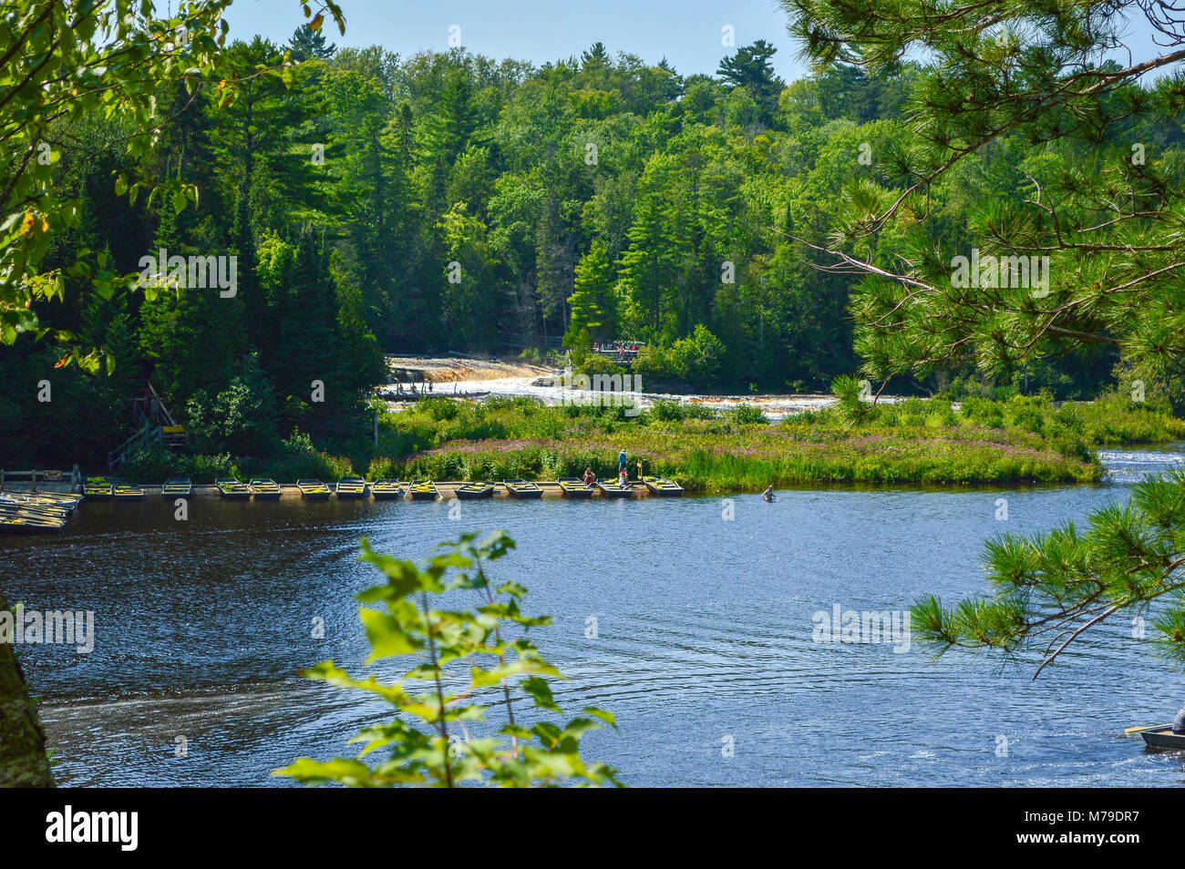 Tahquamenon Falls State Park, Michigan Foto Stock