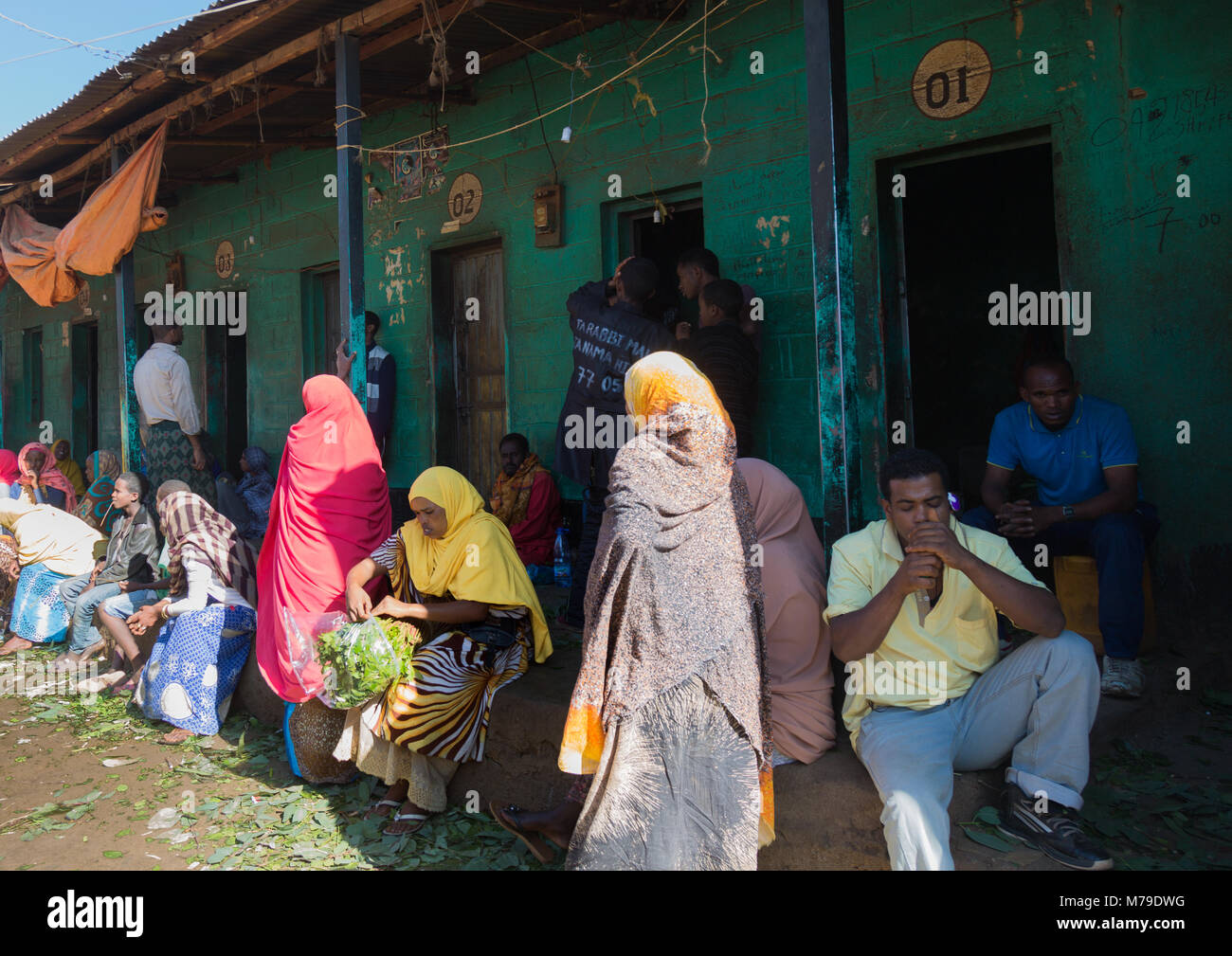 Khat mercato vicino a harar, khat capitale del mondo, Harari regione, Awaday, Etiopia Foto Stock