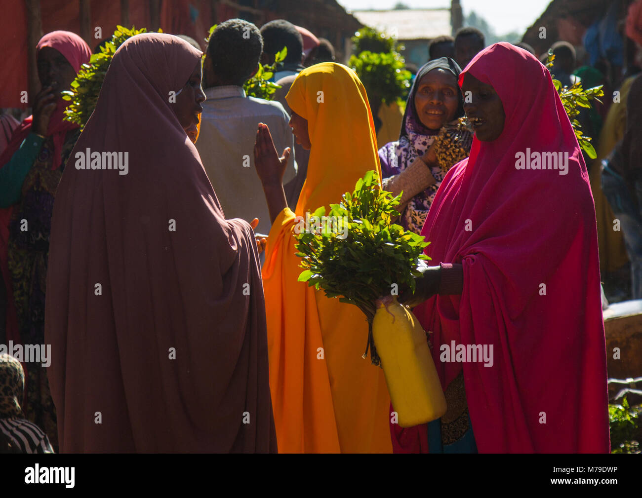 Khat trading in awaday khat mercato vicino a harar, khat capitale del mondo, Harari regione, Awaday, Etiopia Foto Stock