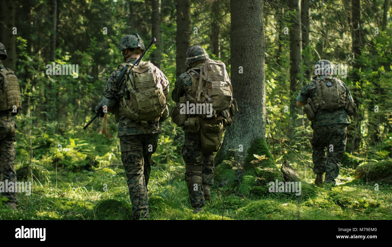 Squadra di cinque completamente equipaggiato i soldati in camuffamento su una ricognizione missione militare, fucili a canna rigata in posizione di tiro. Si muovono attraverso la foresta. Foto Stock