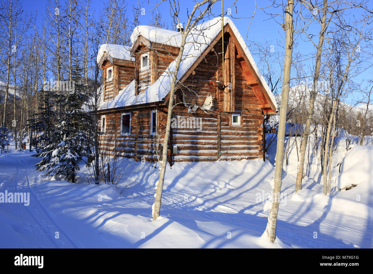 Nord America, USA, Alaska, Nord Alaska, James Dalton Highway, Brooks Range, Wiseman, log cabin, capanne di legno, Foto Stock