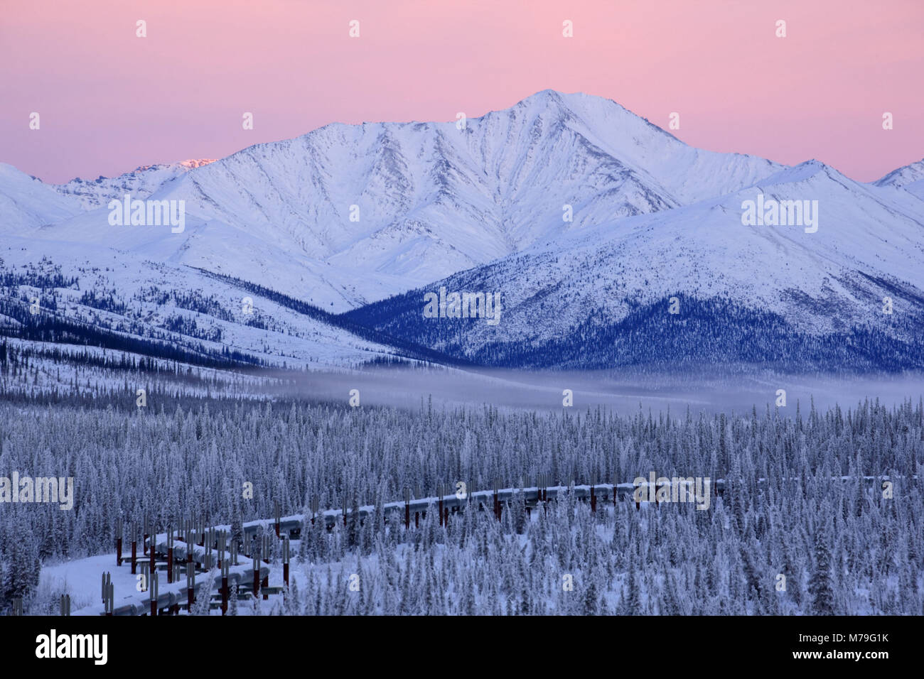 Nord America, USA, Alaska, Nord Alaska, James Dalton Highway, Brooks Range, Alaska pipeline, Foto Stock