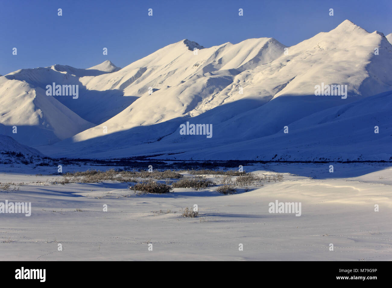 Nord America, USA, Alaska, Nord Alaska, James Dalton Highway, Brooks Range, paesaggio invernale, Foto Stock