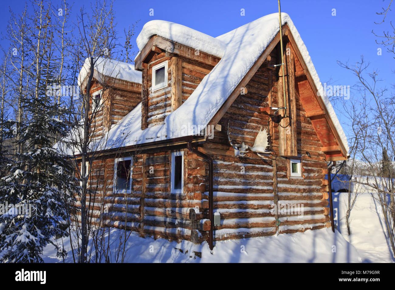 Nord America, USA, Alaska, Nord Alaska, James Dalton Highway, Brooks Range, Wiseman, log cabin, capanne di legno, Foto Stock