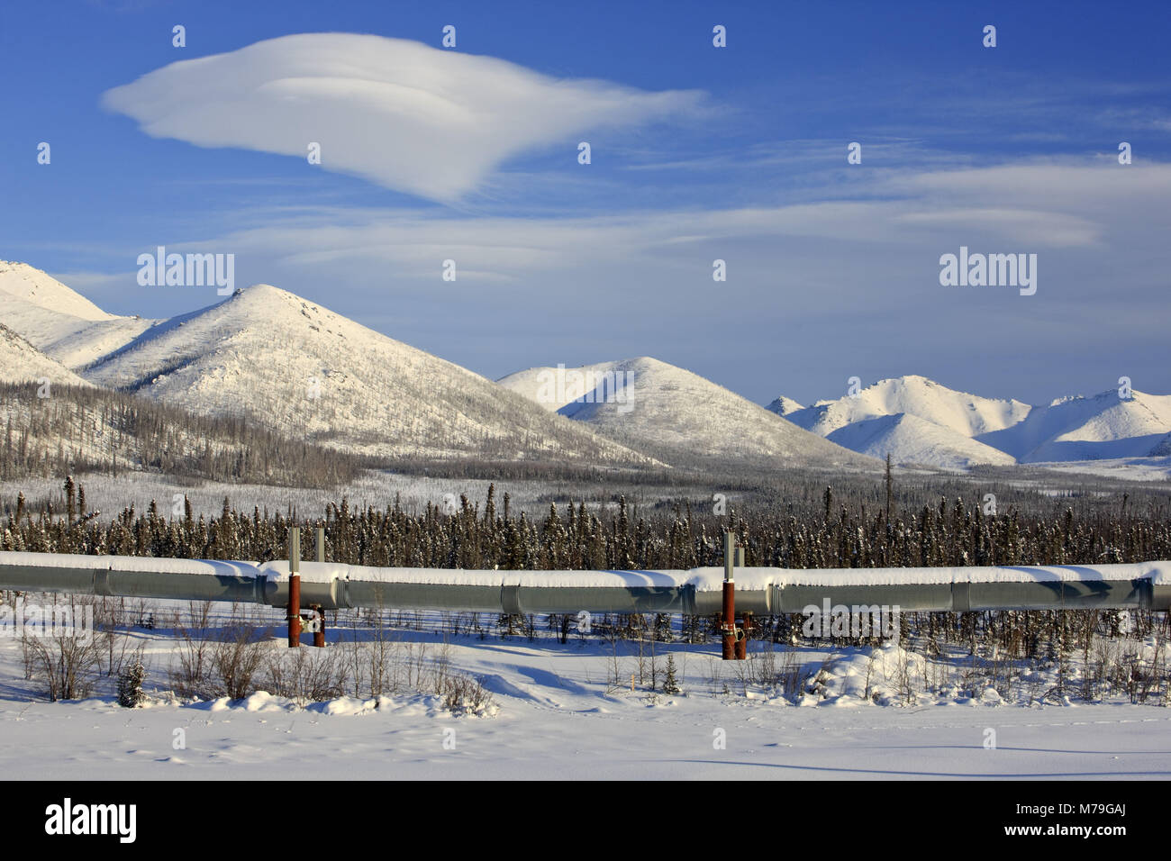 Nord America, USA, Alaska, Nord Alaska, James Dalton Highway, Brooks Range, paesaggio invernale, Alaska pipeline, Foto Stock
