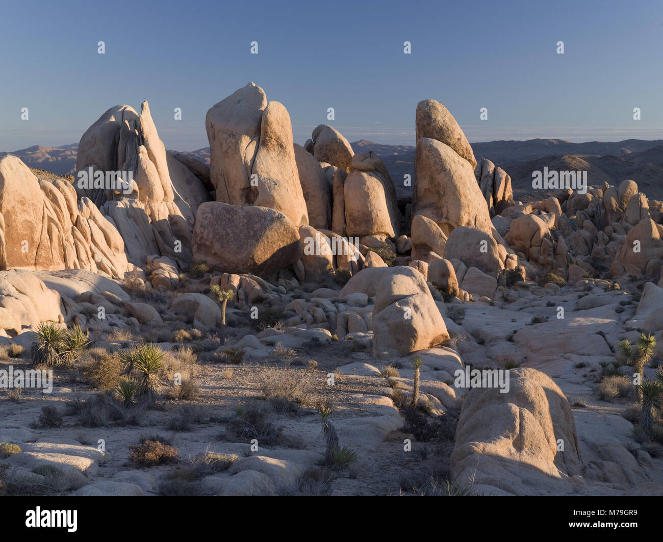 Paesaggio di roccia Arch Rock, parco nazionale di Joshua Tree, California, America, Foto Stock