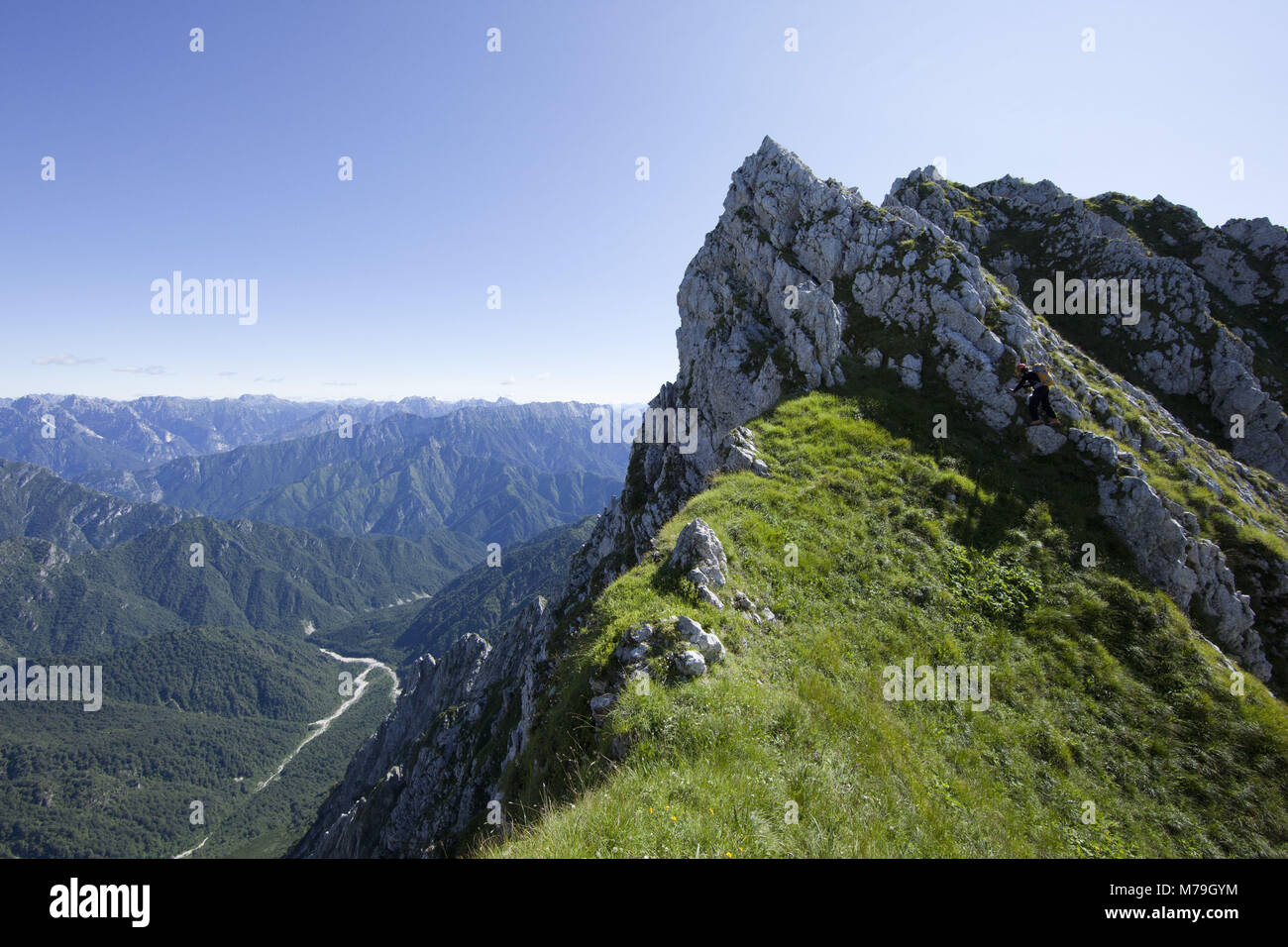 Escursionismo in scena a Monte Sestier, le Alpi Carniche, Veneto, Italia, Foto Stock