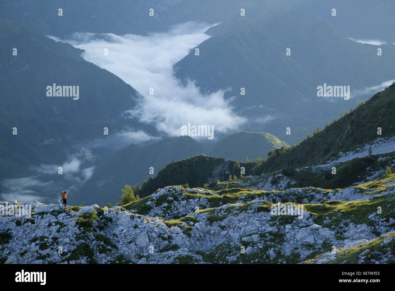 Escursionismo in scena a Monte Cavallo, Dolomiti heigh percorso n. 7, le Alpi Carniche, Veneto, Italia, Foto Stock