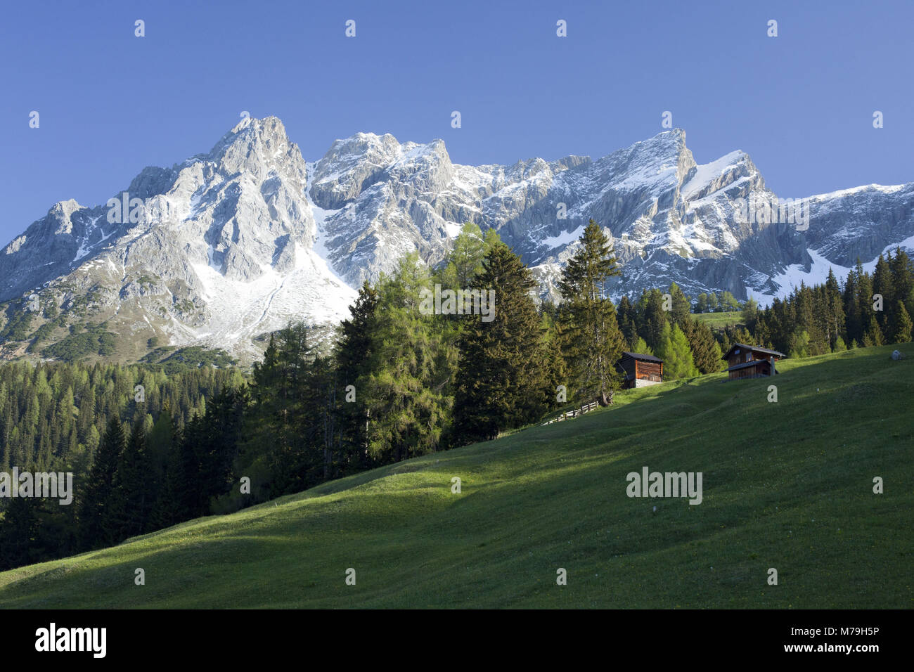 Eisenspitze del sud, Alpi Lechtal, Tirolo, Austria, Foto Stock