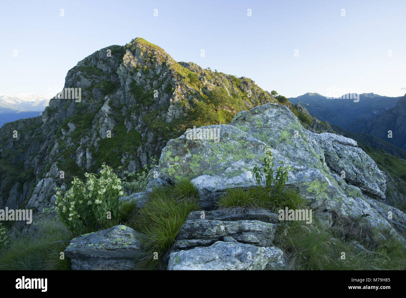 Mattinata estiva in Monte Lorenzo, Parco Nazionale Val Grande, Piemonte, Italia, Foto Stock