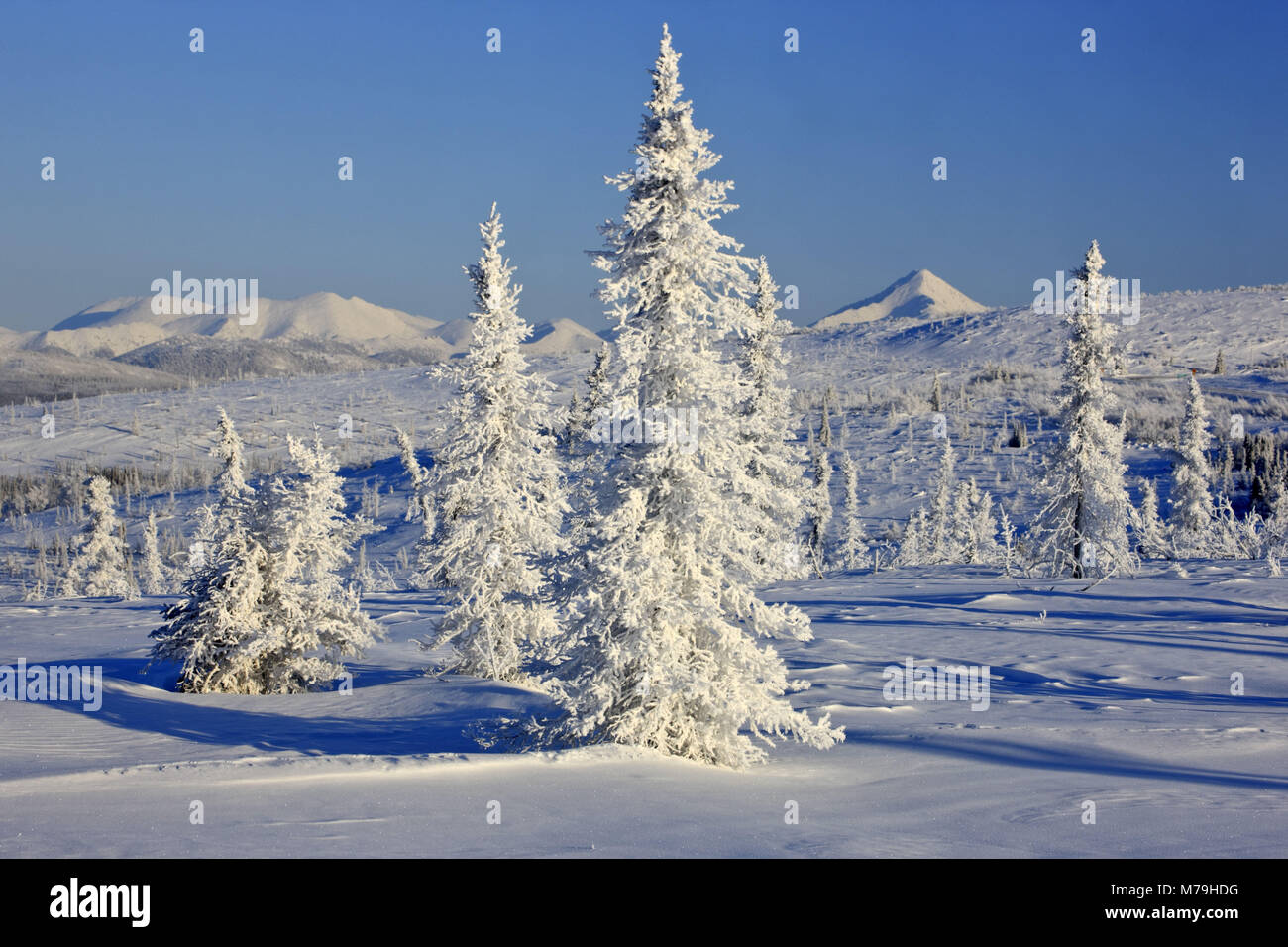 Nord America, USA, Alaska, Nord Alaska, James Dalton Highway, paesaggio invernale, Brooks Range, Foto Stock