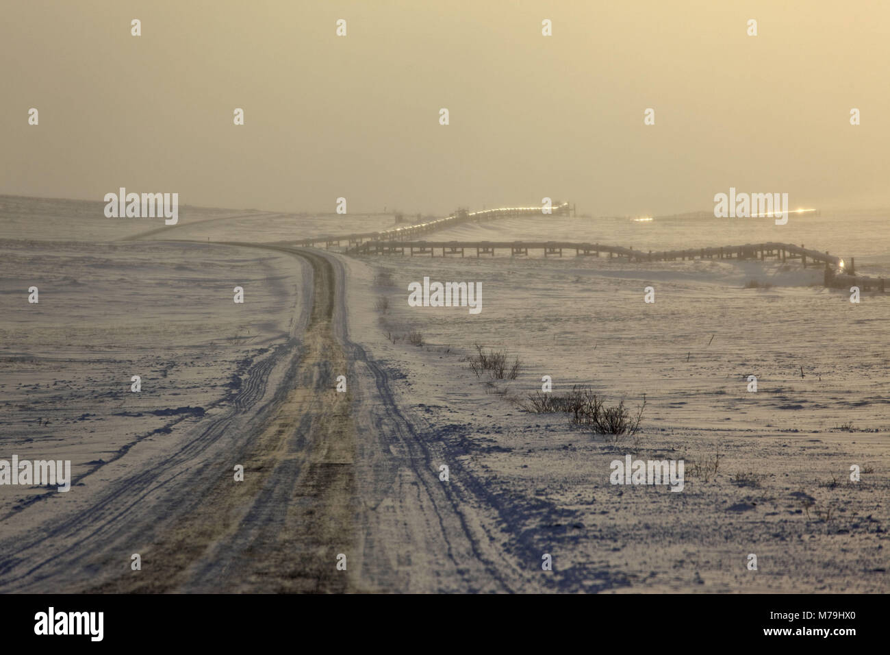 Nord America, USA, Alaska, Nord Alaska, James Dalton Highway, versante Nord, Alaska pipeline, autostrada, Foto Stock
