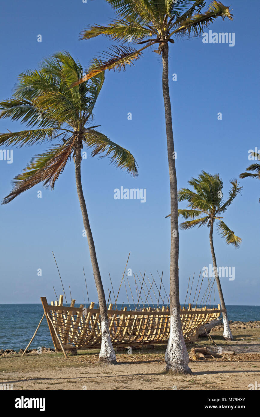 Africa, Mosambique, Oceano Indiano, palme, Foto Stock