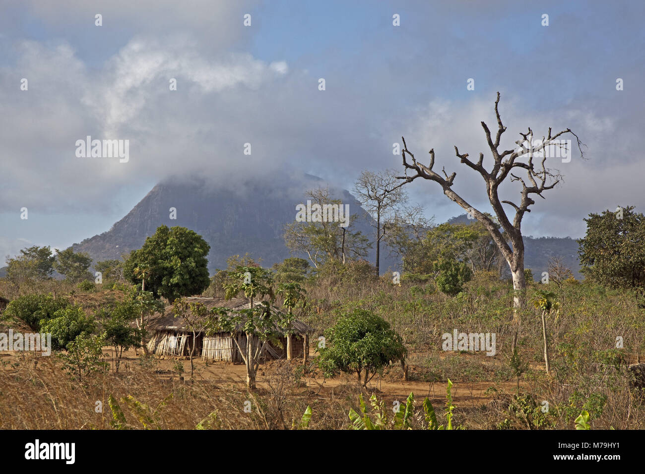 Africa, Mosambique, vicino a Nampula, paesaggio, paesaggio di montagna, roccia di granito, Foto Stock