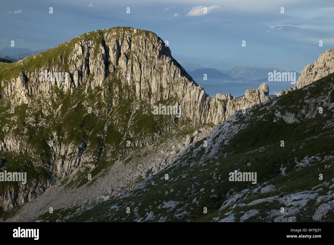 Scenario di Monte Cavallo, le Alpi Carniche, Veneto, Italia, Foto Stock