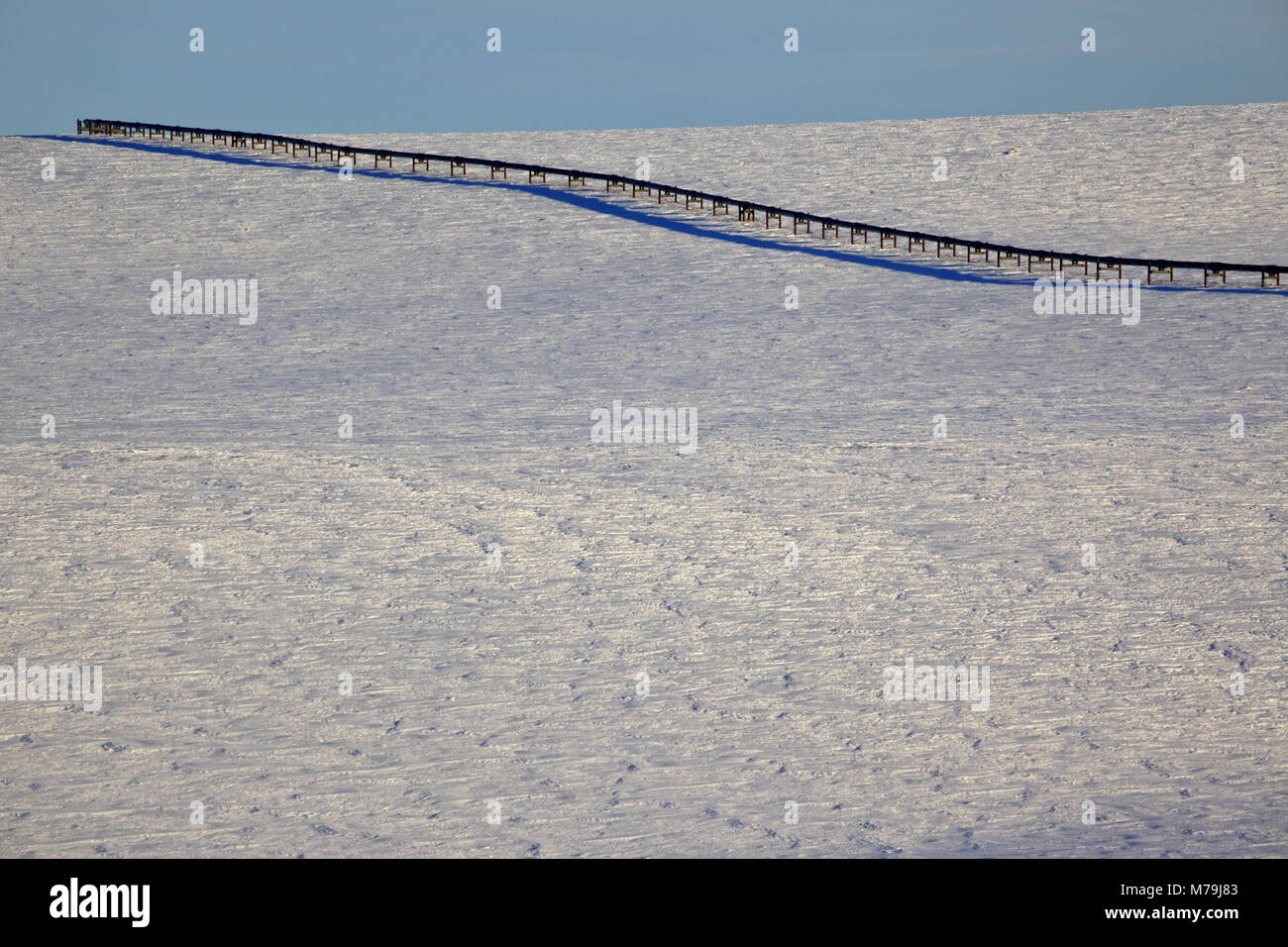 Nord America, USA, Alaska, Nord Alaska, James Dalton Highway, versante Nord, Alaska pipeline, tundra artica, Foto Stock