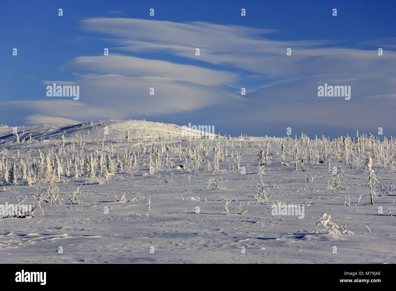 Nord America, USA, Alaska, Nord Alaska, James Dalton Highway, paesaggio invernale, Foto Stock