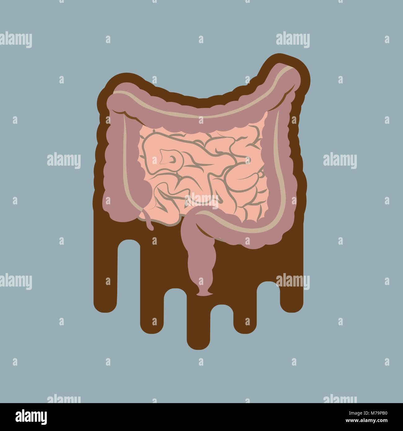 Apparato digestivo umano intestini gut anatomia del tratto gastrointestinale schema. Meteorism, enterite, coliti, colite ulcerosa, Dysbacteriosis, diarrea. Le malattie dell'intestino Illustrazione Vettoriale