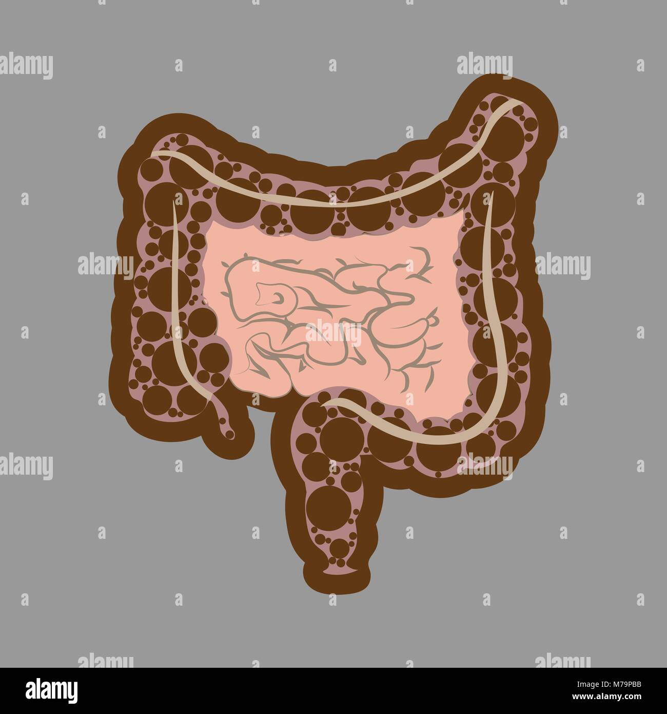 Apparato digestivo umano intestini gut anatomia del tratto gastrointestinale schema. Meteorism, enterite, coliti, colite ulcerosa, Dysbacteriosis, diarrea. Le malattie dell'intestino Illustrazione Vettoriale