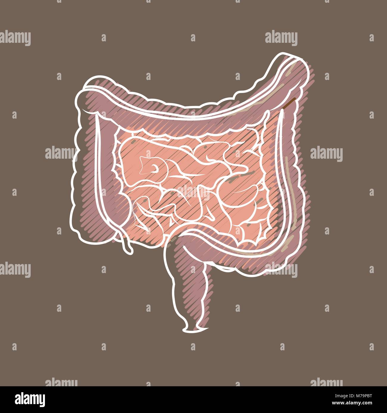 Apparato digestivo umano intestini gut anatomia del tratto gastrointestinale schema. Cova per lo styling Illustrazione Vettoriale