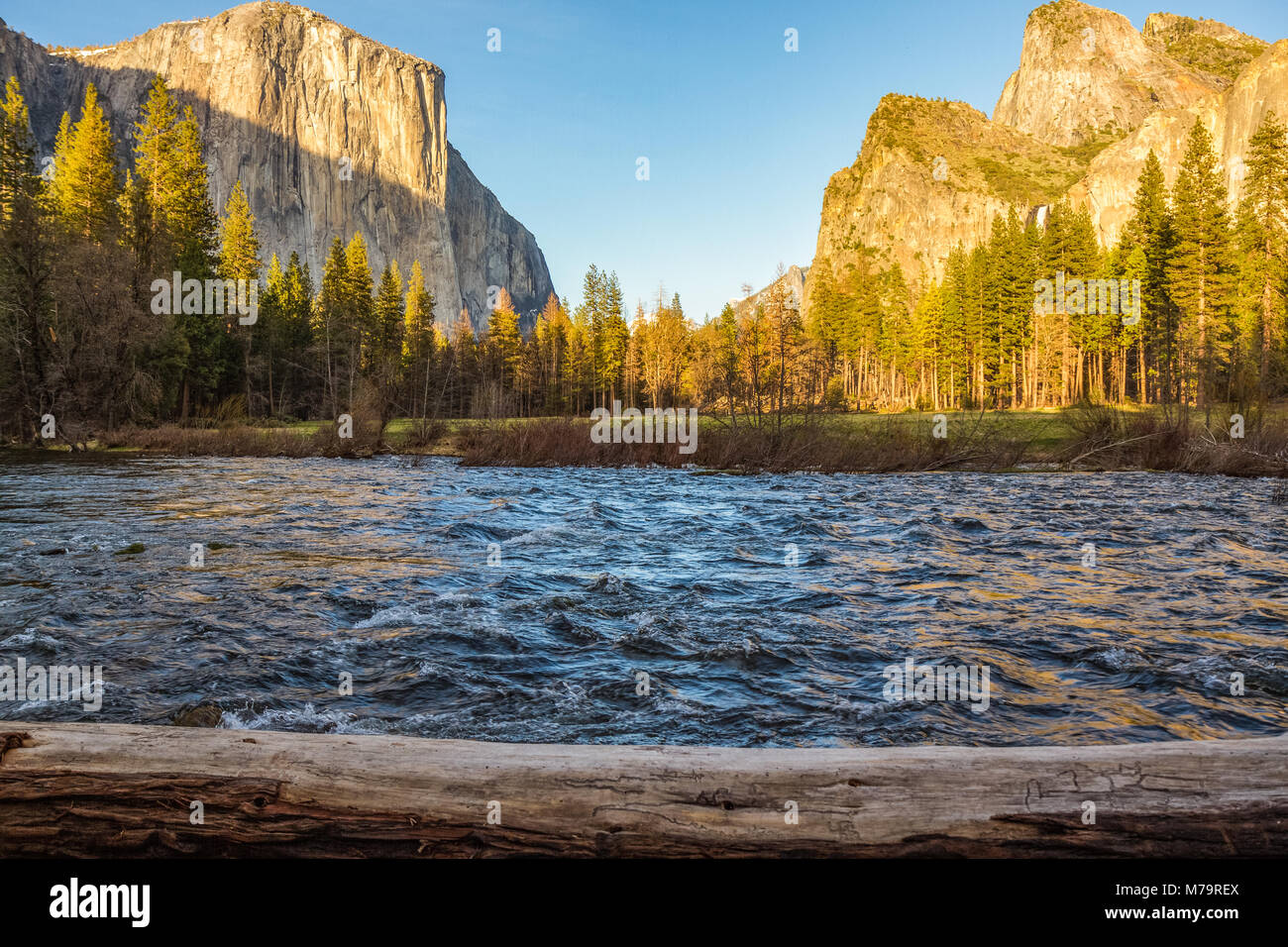 Paesaggio di colore tramonto foto Yosemite National Park, California, Stati Uniti d'America, con El Capitan e Cattedrale di guglie inondate di luce dorata fiume in primo piano Foto Stock Paesaggio di colore tramonto foto Yosemite National Park, California, Stati Uniti d'America, con El Capitan e Cattedrale di guglie inondate di luce dorata fiume in primo piano Foto Stock