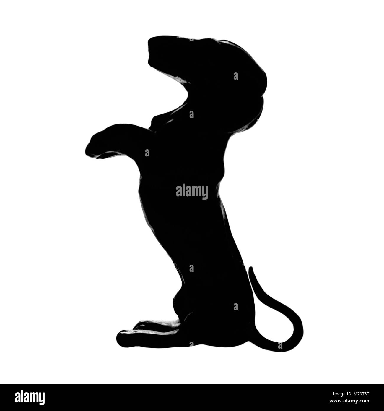 Bassotto badger cane di razza, isolato pedigree silhouette, verticale, illustrazione dettagliata di grandi dimensioni macro nero closeup, kennel club di esclusione di concetto Foto Stock