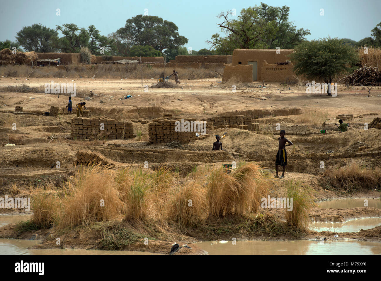 I ragazzi facendo mattoni di fango in un piccolo borgo rurale. Regione di Mopti, Mali, Africa occidentale. Foto Stock