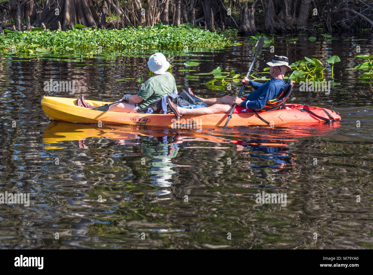 Coppia senior esplorando il St. Johns River sul kayak da molla blu stato parco vicino alla Città di arancia, Florida. (USA) Foto Stock