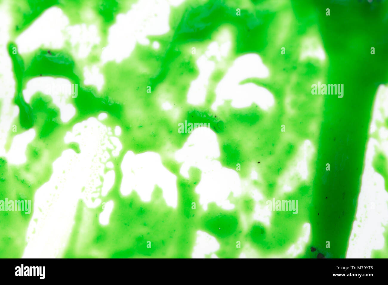 Marmellata di Kiwi blured foto per il design creativo. Foto Stock