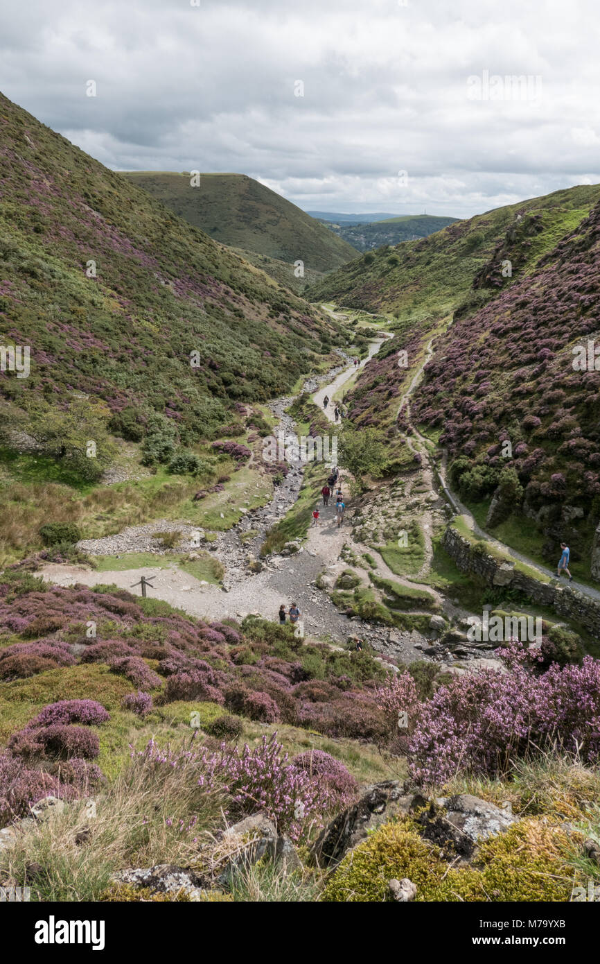 La cardatura Mill Valley, Church Stretton Shropshire REGNO UNITO Foto Stock