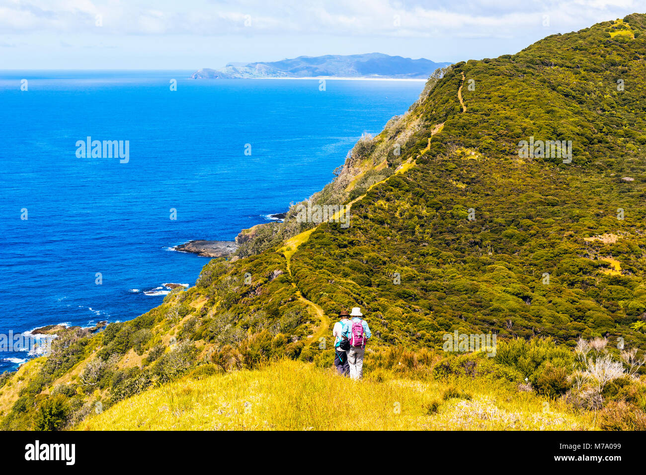 Walkers sul sentiero costiero a est di Tapotupotu Bay, nei pressi di Cape Reinga, Isola del nord, Nuova Zelanda con vista verso Ngataea o Hooper punto Foto Stock