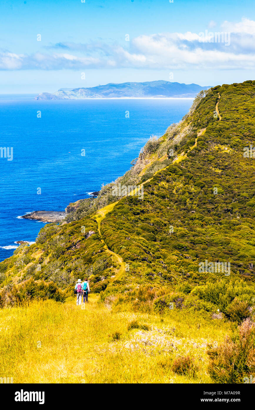 Walkers sul sentiero costiero a est di Tapotupotu Bay, nei pressi di Cape Reinga, Isola del nord, Nuova Zelanda con vista verso Ngataea o Hooper punto Foto Stock