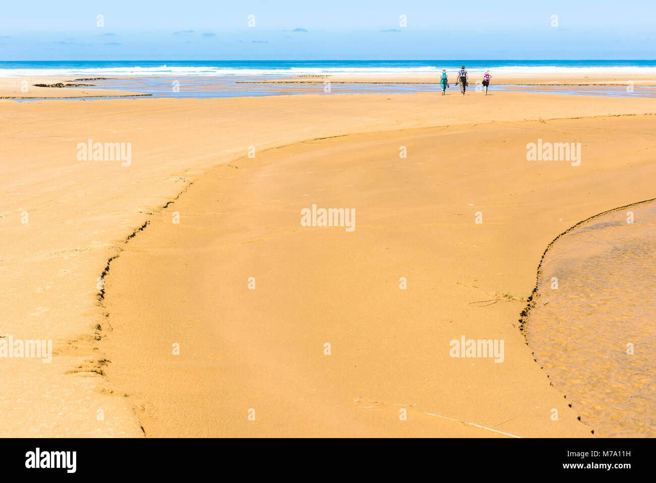 Walkers sul Ninety Mile Beach, Isola del nord, Nuova Zelanda Foto Stock