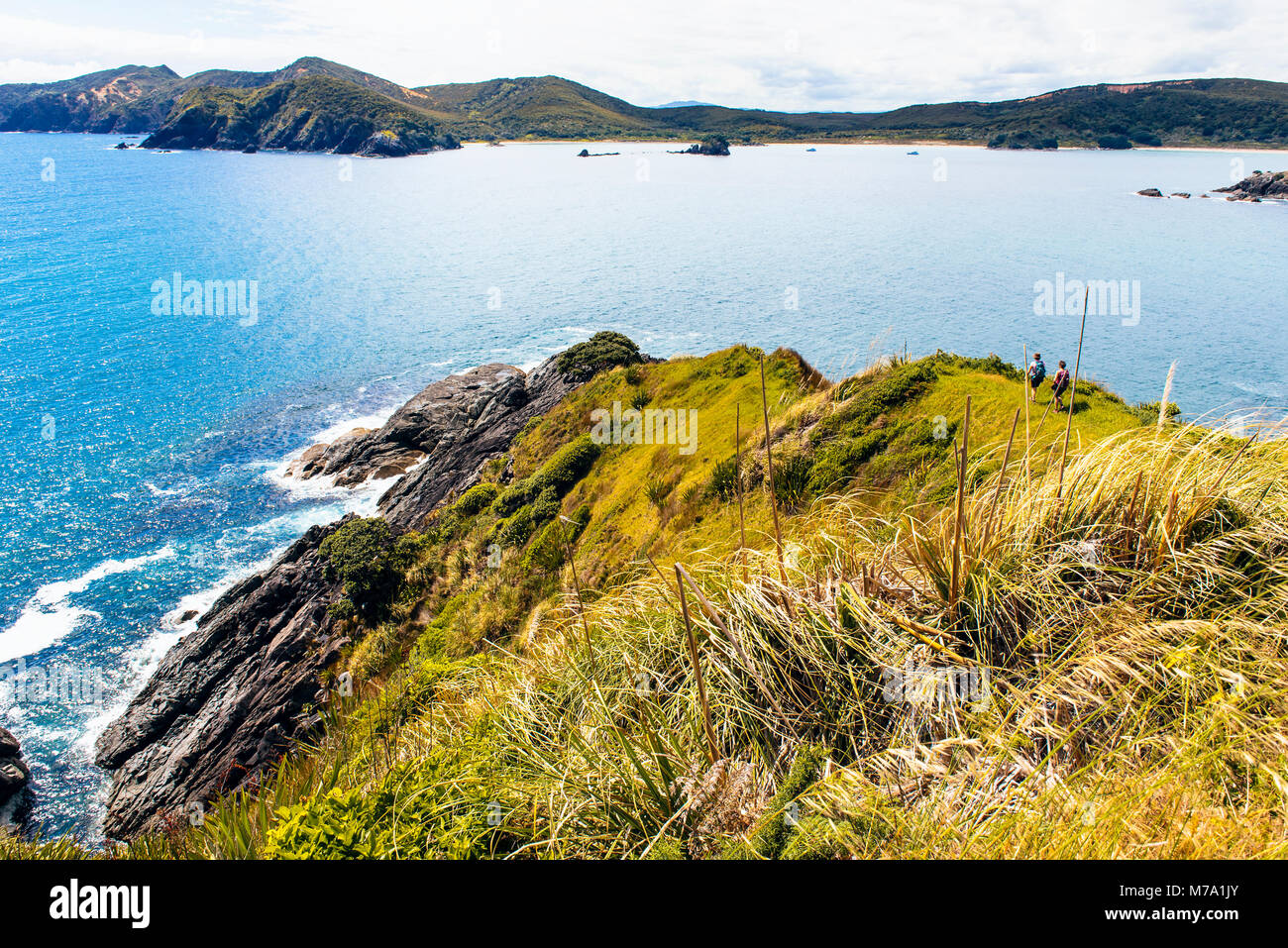 Gli escursionisti sulla penisola affacciato sulla Baia di Maitai e Waikato Bay sulla penisola di Karikari, Isola del nord, Nuova Zelanda Foto Stock