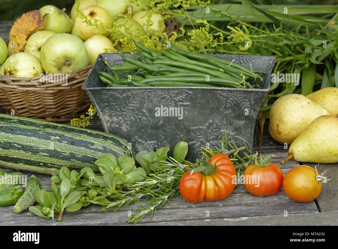 Pomodori, fagioli verdi, pere e mele, zucchine e purslane dal giardino (Suzanne's orto; Le Pas; Mayenne; Pays de la Loire; Francia) Foto Stock