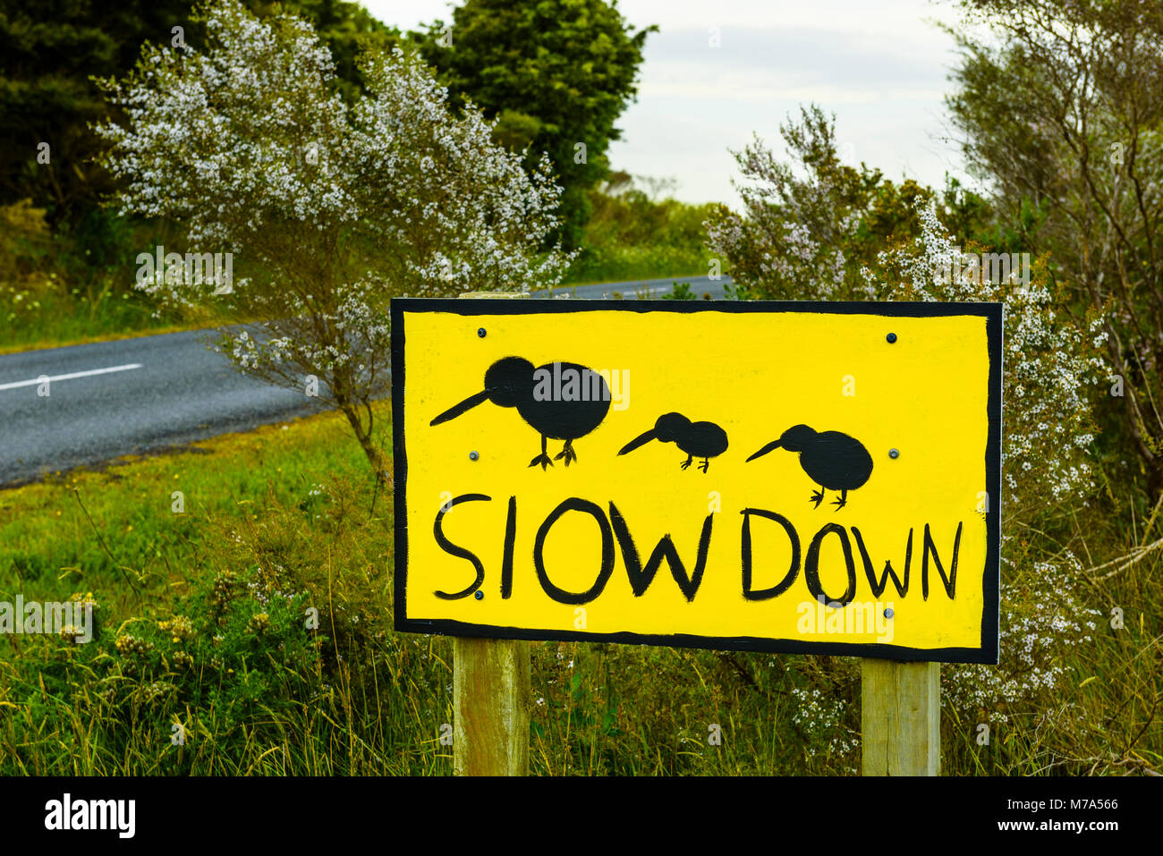 Kiwi segno di avvertimento sulla strada Waire vicino a Kerikeri, Isola del nord, Nuova Zelanda Foto Stock