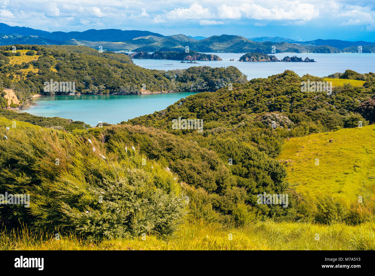 Vista da Urupukapuka Island nella Baia delle Isole, Isola del nord, Nuova Zelanda al di sopra del canale Albert verso la terraferma Foto Stock