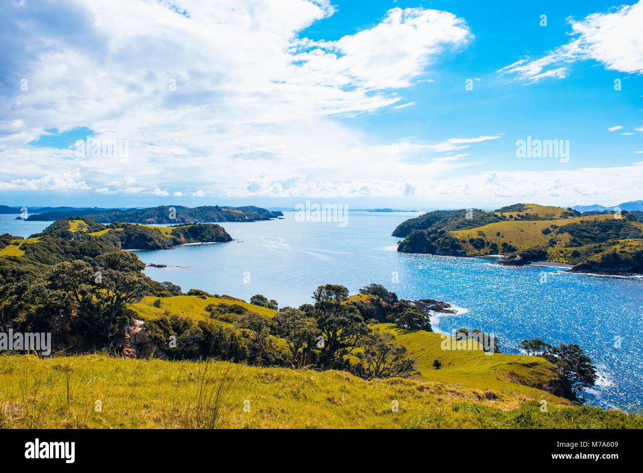 Vista da Urupukapuka Island nella Baia delle Isole, Isola del nord, Nuova Zelanda. Isola Waewaetorea o diritto, Moutkiekie isola sulla sinistra Foto Stock