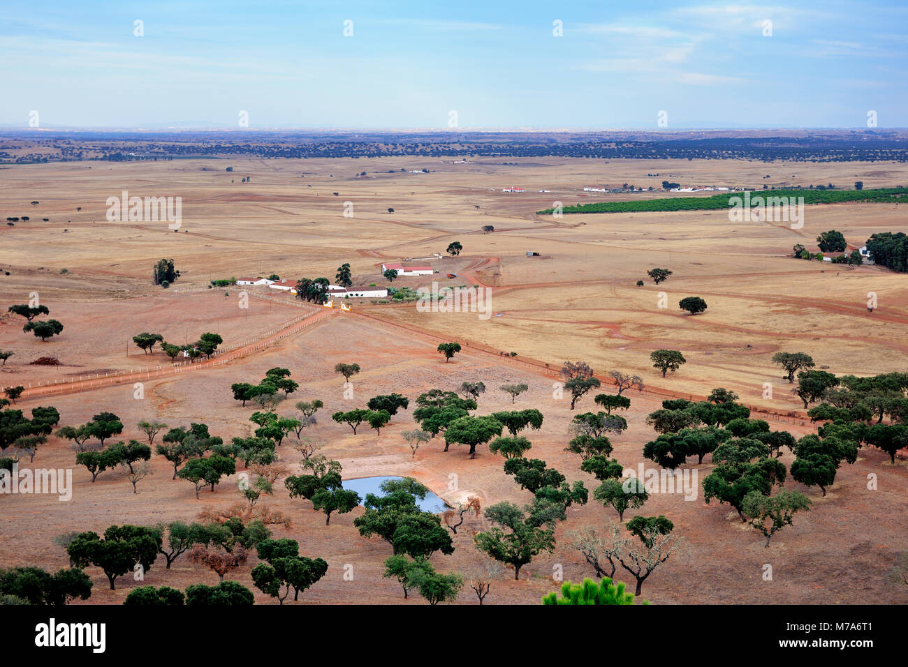 La vasta pianura Alentejo con alberi da sughero, vicino a Castro Verde, Portogallo Foto Stock