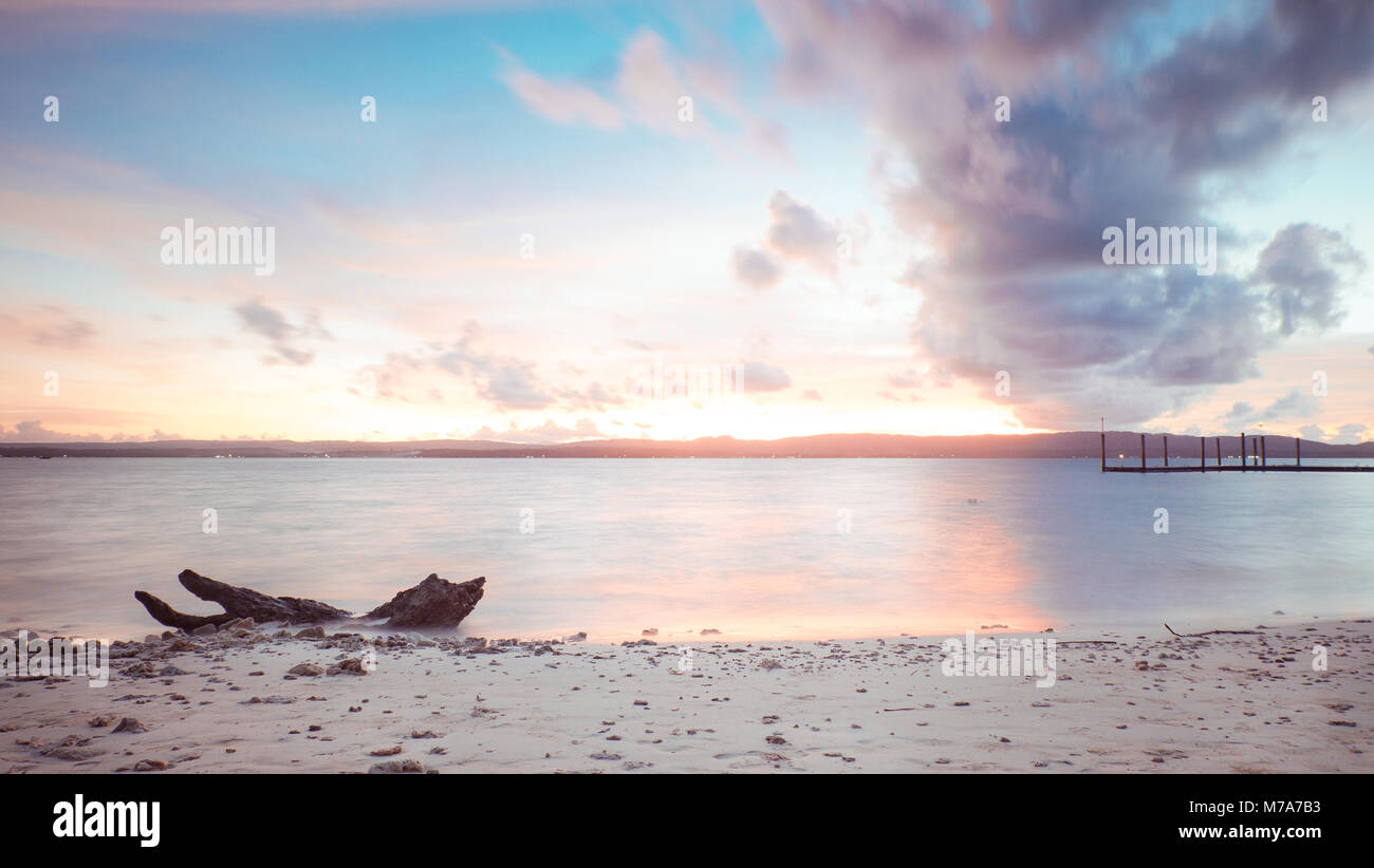 Tronchi di alberi caduti con un bellissimo Cielo di tramonto Foto Stock
