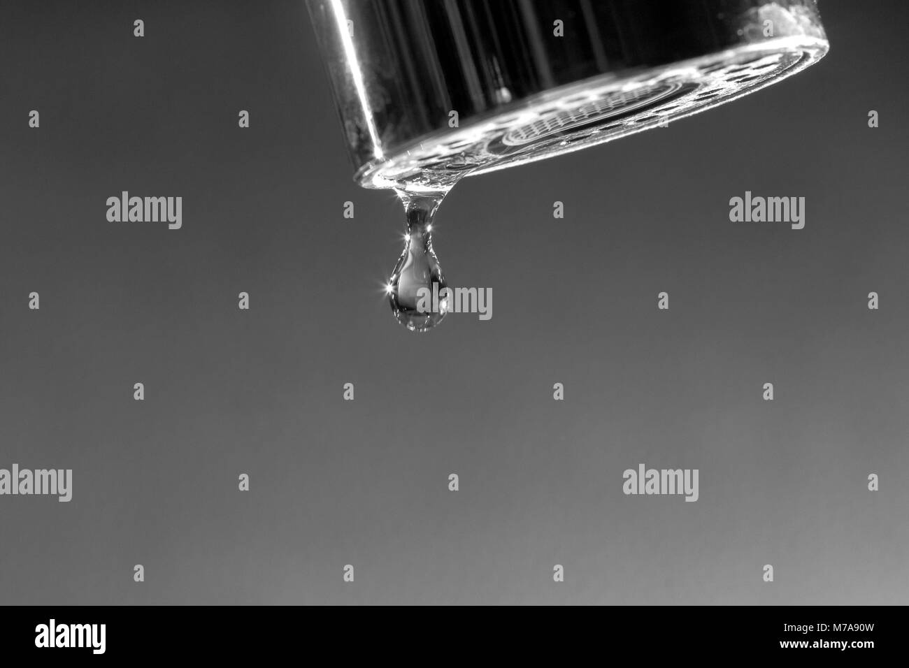 Rubinetto di acqua con una singola goccia di acqua che gocciola, isolata contro uno sfondo grigio, popolare foto di goccioline Foto Stock