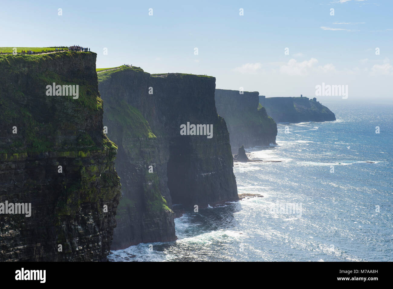 Scogliere di Moher, County Clare, Irlanda, Regno Unito Foto Stock
