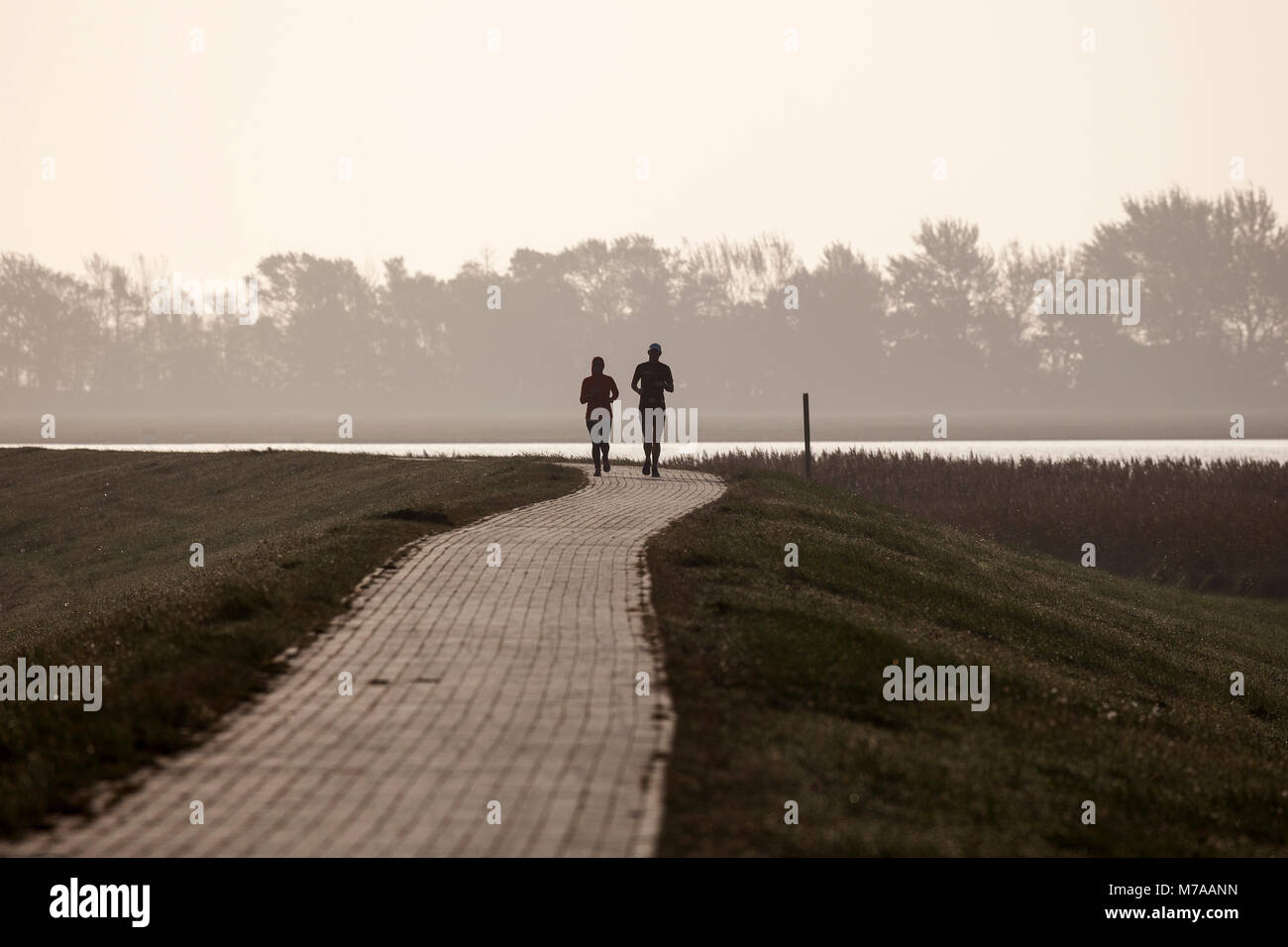 Due gli amanti del jogging su una sorta di argine, Fischland-Darß-Zingst, Atmosfera mattutina, la Pomerania occidentale Area Laguna Parco Nazionale Foto Stock