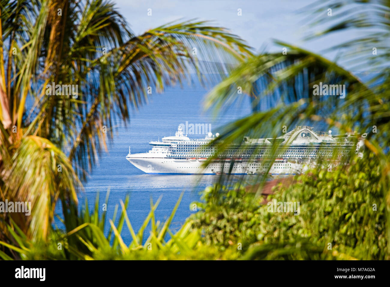 Una vista attraverso foglie di palmo di Norwegian Cruise Line, il Golden Princess, al di ancoraggio nella parte anteriore di Lahaina, Maui, Hawaii. Foto Stock