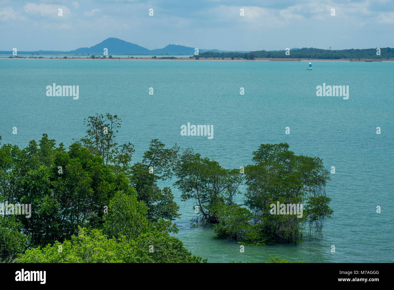 La vista delle mangrovie, mare e periferie isola dalla torre Jejawi un popolare della torre di vedetta nel Chek Jawa zone umide, Pulau Ubin Island, Singapore. Foto Stock