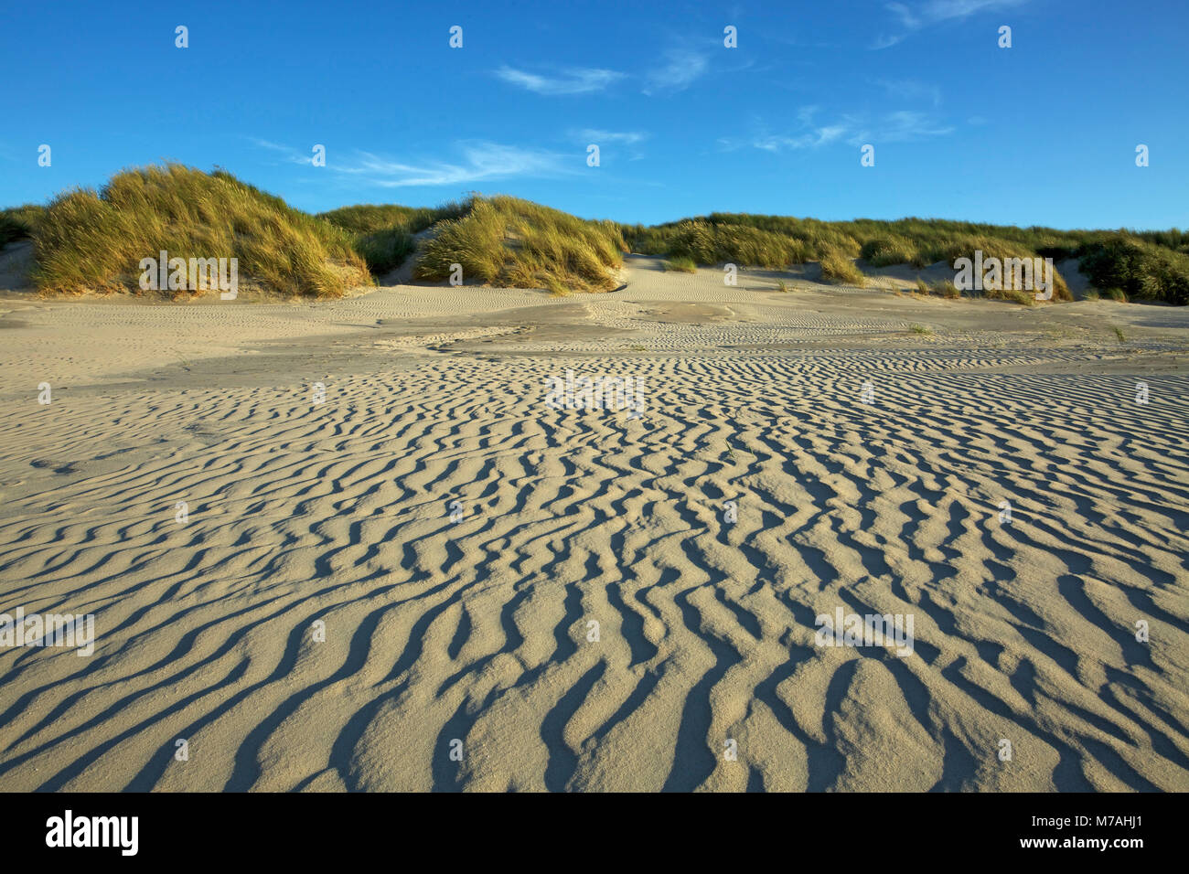 Sabbia formata dal vento sulla spiaggia dell'isola di Baltrum nella luce della sera. Foto Stock