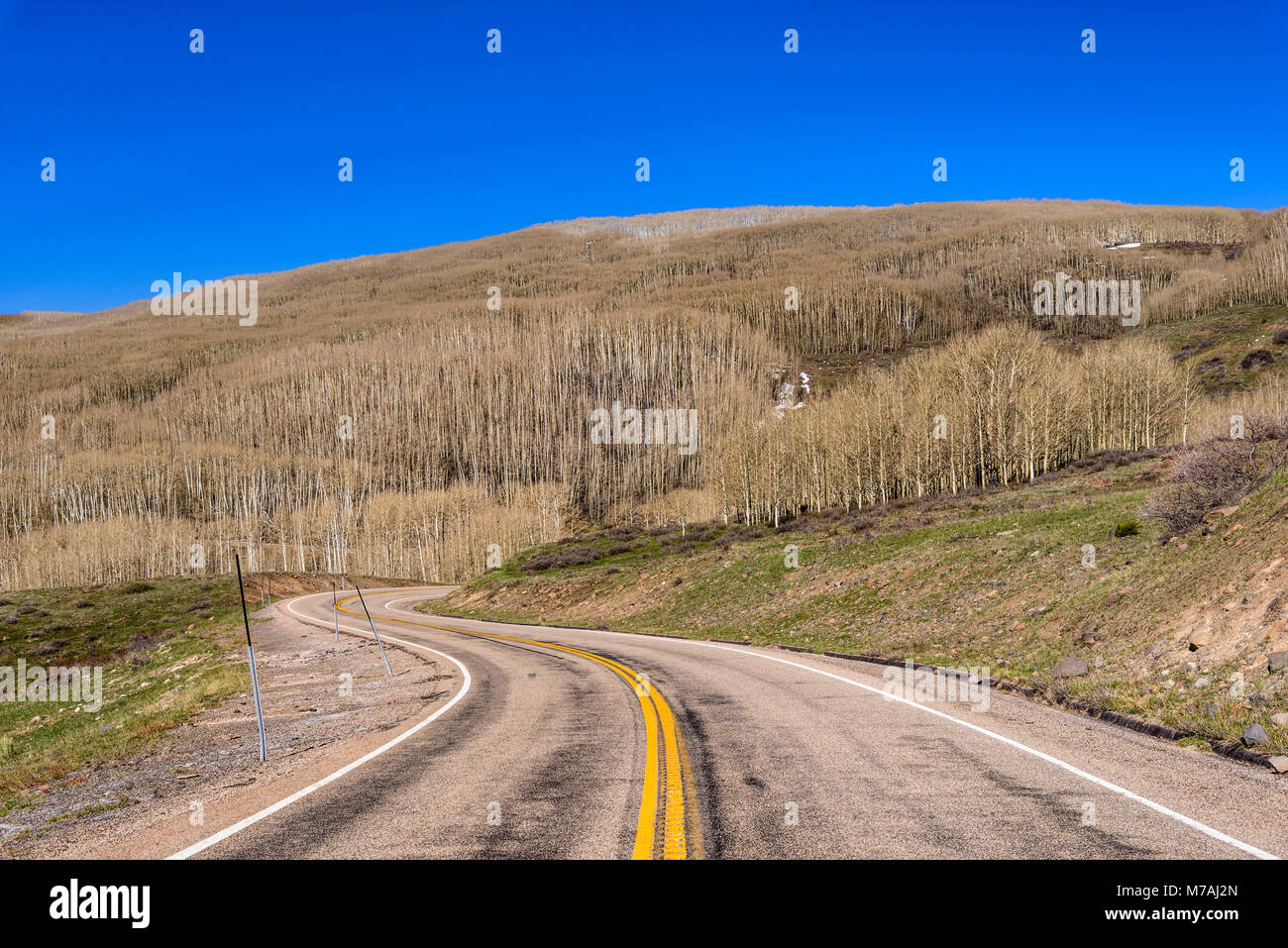 Gli Stati Uniti, Utah, Garfield County, boulder, Boulder Mountain, Scenic Byway 12 Foto Stock